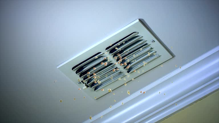 Best Ventilation Cleaning Services  in St James, MN