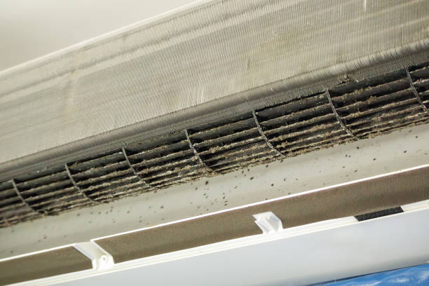 Best Local Air Duct Cleaning Services  in St James, MN